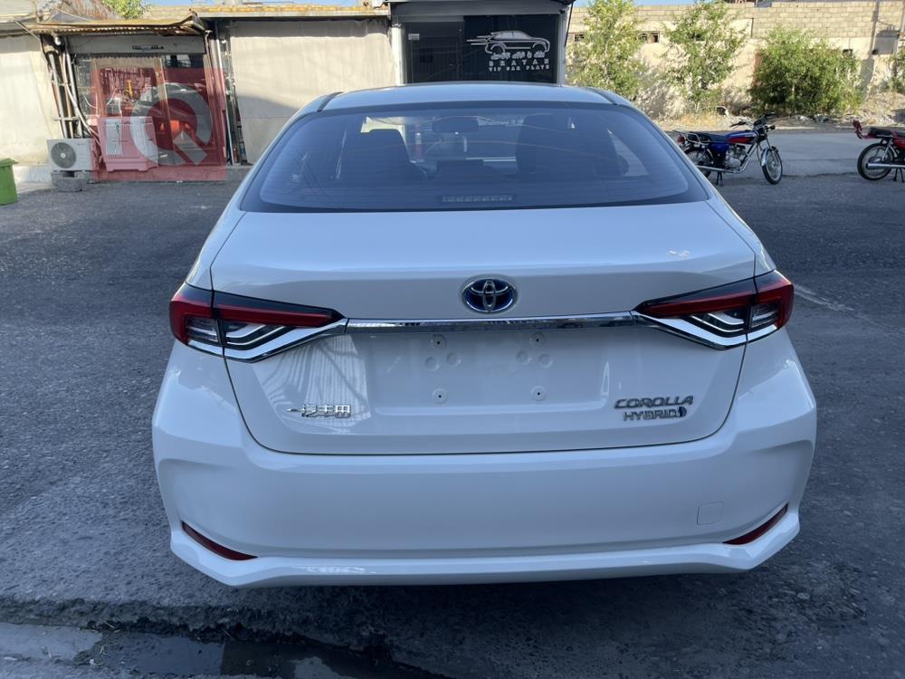 تويوتا كورولا